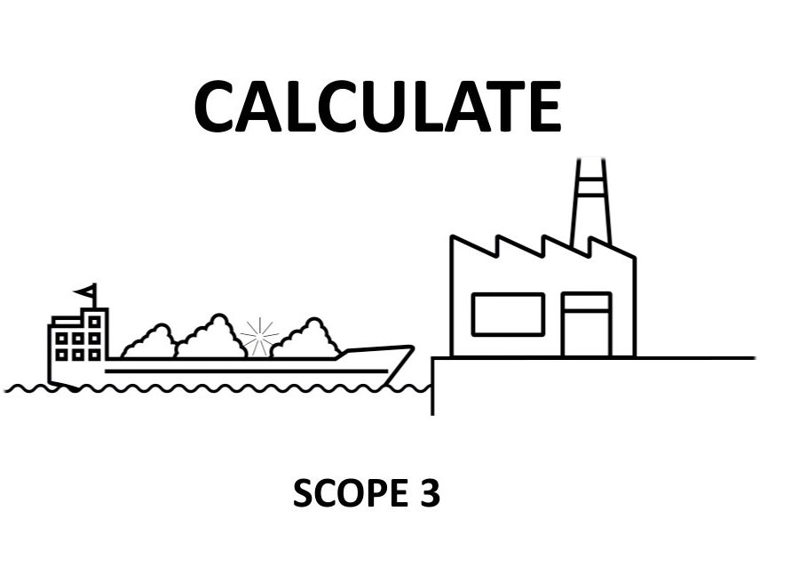Animation Animation
